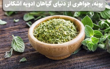 پونه، جواهری از دنیای گیاهان ادویه اشکانی